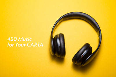 Set the Mood with the Top 10 Jams for Your CARTA E-Rig